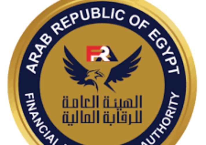 هيئة الرقابة المالية