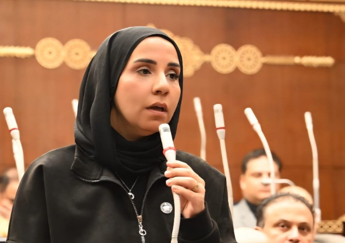 النائبة ولاء هرماس 