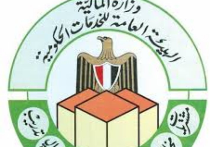 هيئة الخدمات الحكومية 