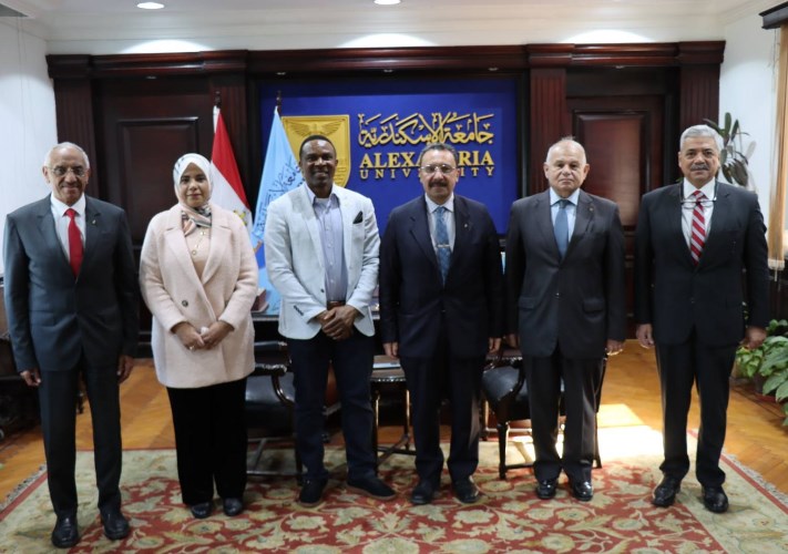 مكتبة الإسكندرية 