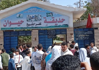 حديقة كفر الشيخ 