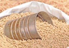 الأعلاف أرشيفية 