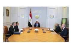 السيسي