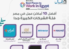 المؤسسات الكبيرة جدًا