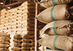 الإمدادات الغذائية
