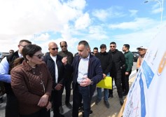 راندة المنشاوي