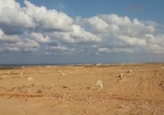 الصالحية الجديدة
