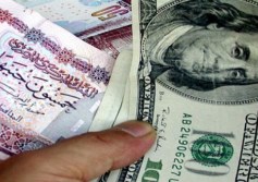 سعر الدولار