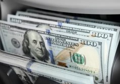 سعر الدولار