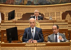 مجلس الشيوخ