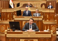 مجلس الشيوخ
