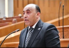 النائب حسام حسن 