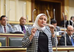 النائبة سناء السعيد