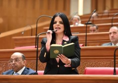 مجلس النواب 