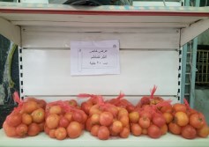 طماطم
