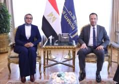 محافظ الوادي الجديد