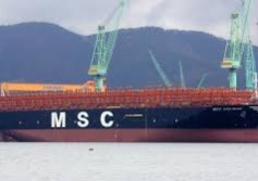 خط MSC 