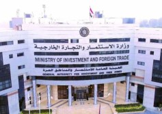 وزارة الاستثمار 