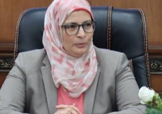 رئيس هيئة التنمية الصناعية