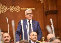 النائب محمد سلامه