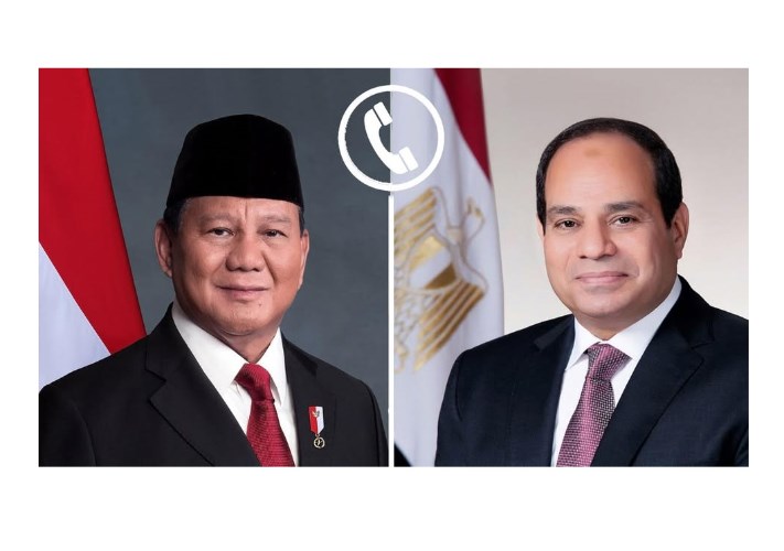 السيسي