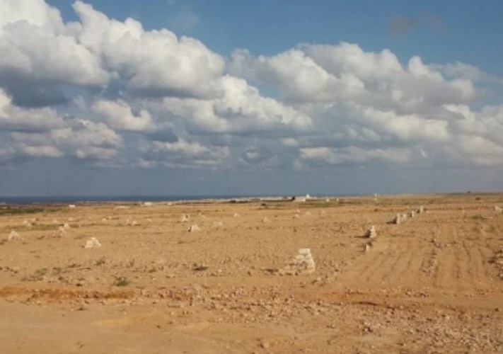 الصالحية الجديدة