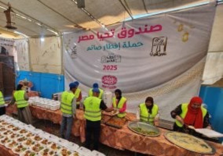 صندوق تحيا مصر