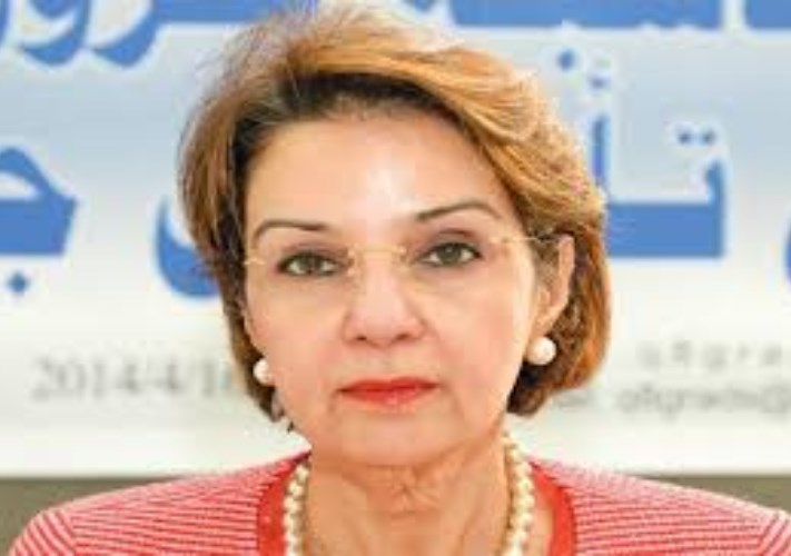 مها البرجس الأمينة العامة للمنظمة العربية لحقوق الإنسان