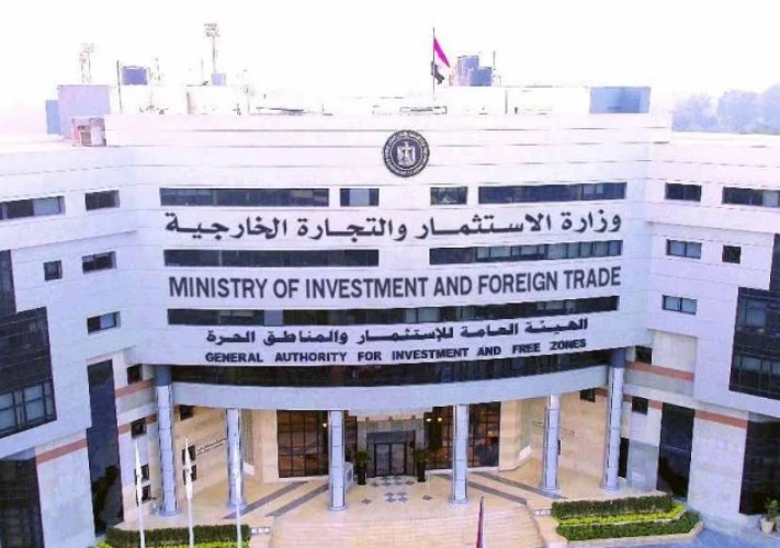 وزارة الاستثمار 