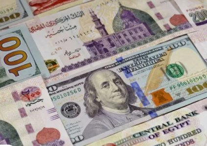 سعر الدولار