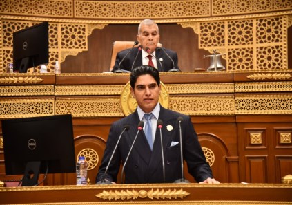 مجلس الشيوخ