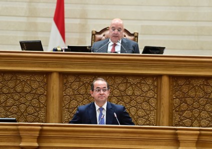 وزير المالية