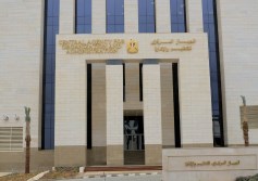 التنظيم والإدارة