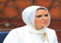 مجلس الشيوخ