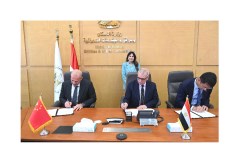 راندة المنشاوي