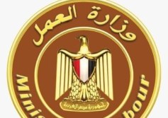 وزارة العمل 