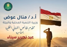 سيناء