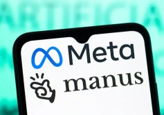 Manus