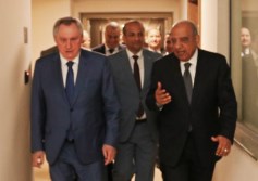 وزير الكهرباء مع وفد الدوما