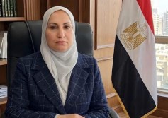 حنان دربالة