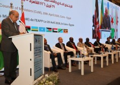 وزير الكهرباء