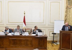 زراعة الشيوخ