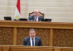 مجلس النواب