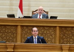 وزير المالية