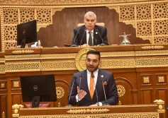مجلس الشيوخ
