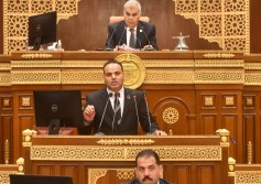 مجلس الشيوخ