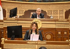 مجلس الشيوخ