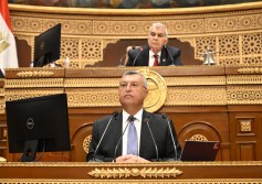 مجلس الشيوخ 