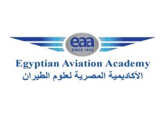 طيران
