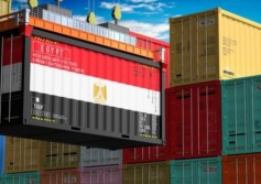 التصدير المصري